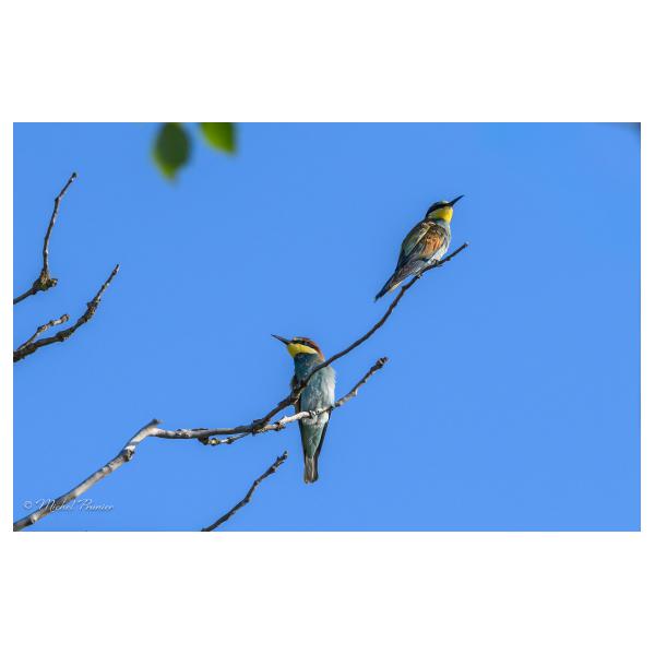 PHOTO84, CLUB, 84 , LUBERON